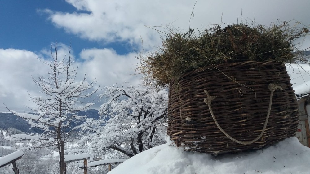 Artvin´de büyüleyen kış manzaraları
