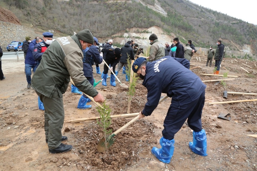 Artvin´de fidanlar toprakla buluştu
