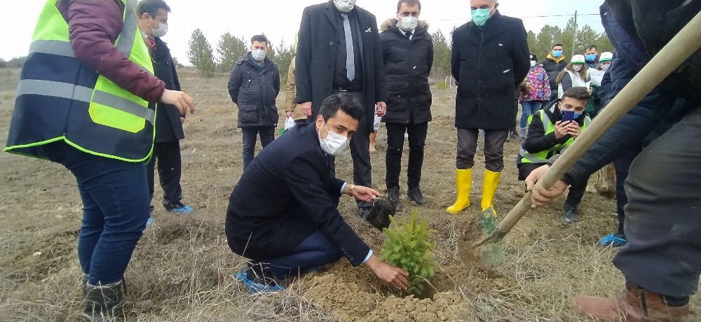 Daday´da 200 üryani eriği toprakla buluştu
