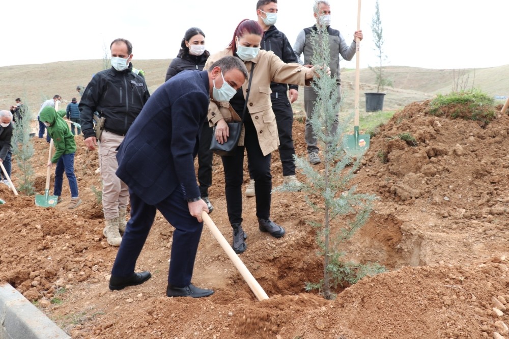 Daha yeşil bir Siirt için fidanlar toprakla buluştu
