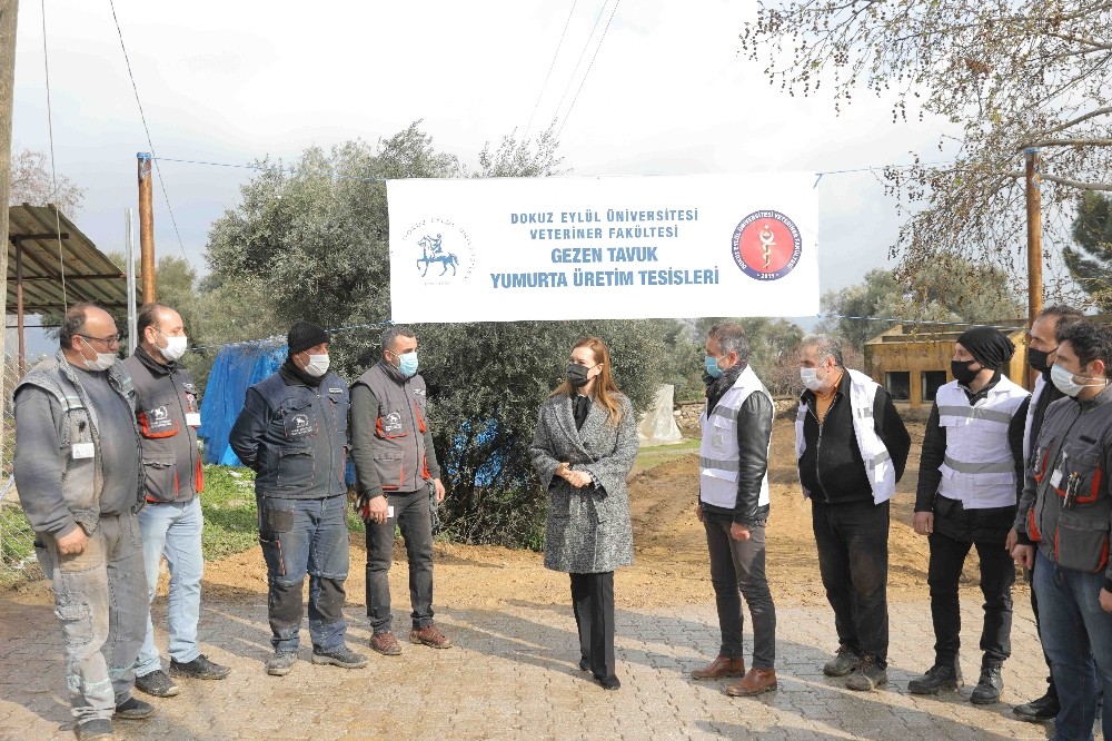 DEÜ Kiraz´da bölgenin ilk kanatlı hayvan çiftliğini kuruyor
