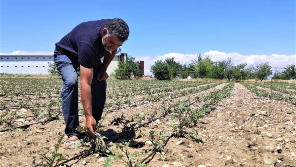 Dolu Bahçelerde ve Ekili Alanlarda da Zarara Yol Açtı