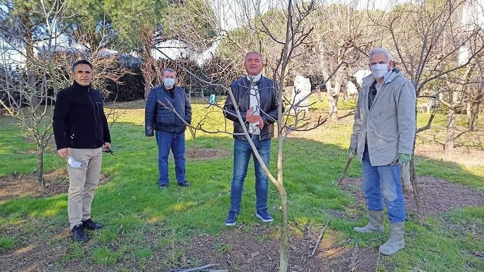 Ekinler ve meyve bahçeleri incelendi
