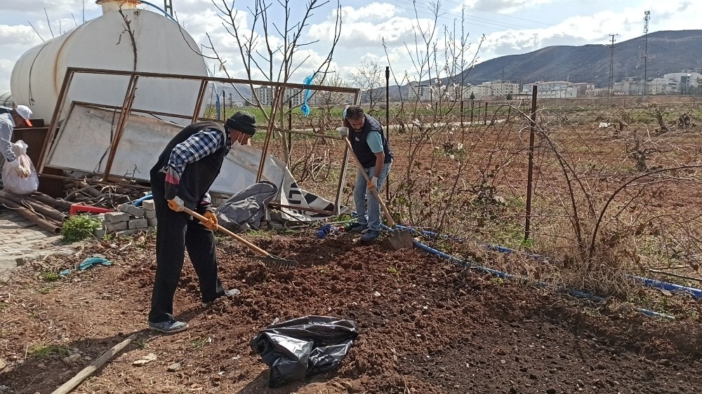 Gercüş´te bağ bahçe budama dönemi başladı
