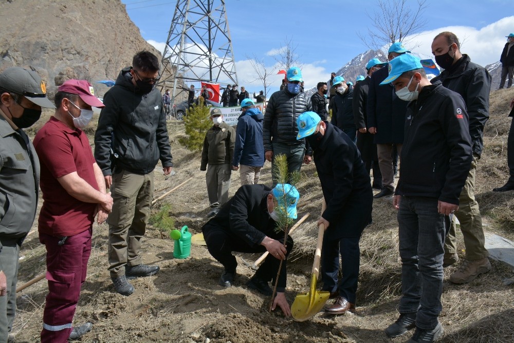 Hakkari´de bin 500 fidan toprakla buluşturuldu
