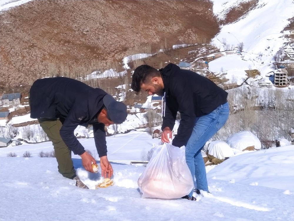 Harçlıklarıyla aldıkları ekmeği hayvanlar için doğaya bırakıyorlar
