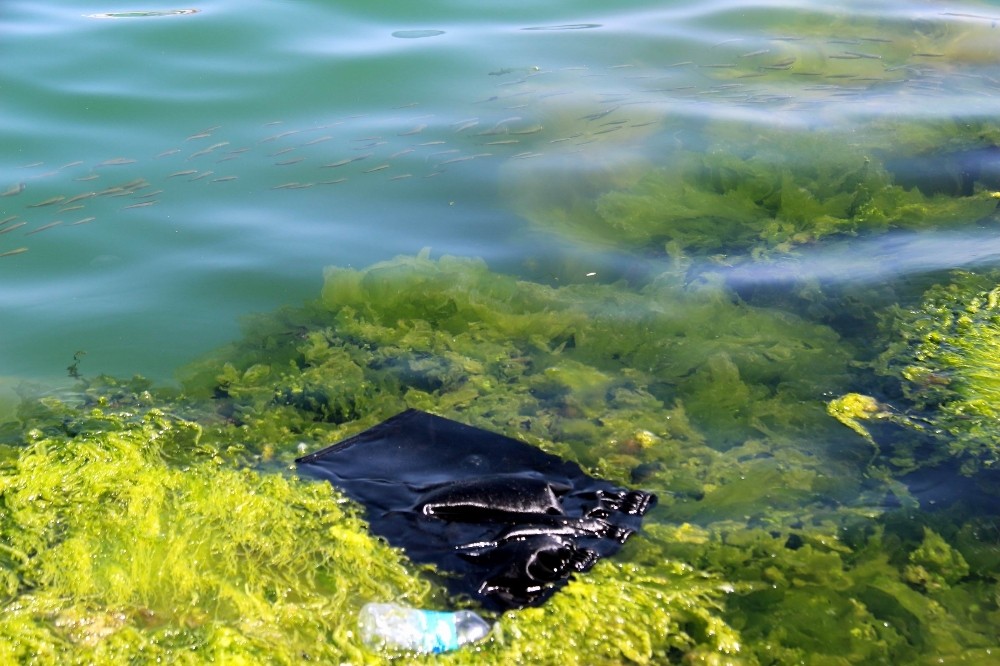 Her yıl denizlere 8 milyon tondan fazla plastik atılıyor
