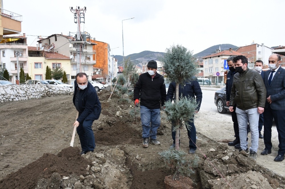 İskilip´te ağaçlandırma çalışmaları devam ediyor
