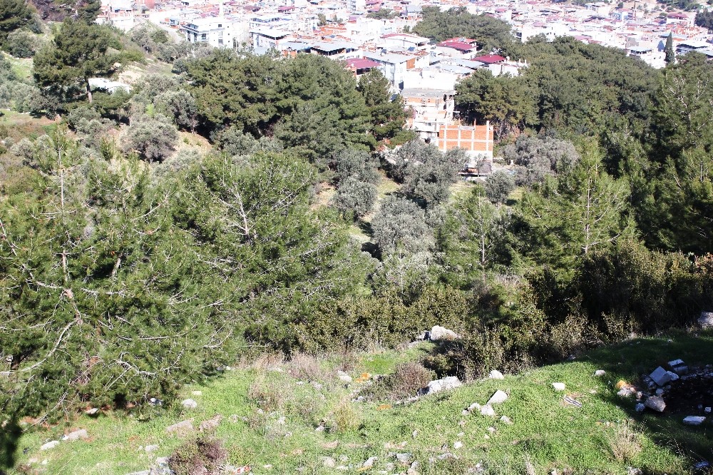 İzmir´de ormanlık alanda kafatası ve kemik parçaları bulundu
