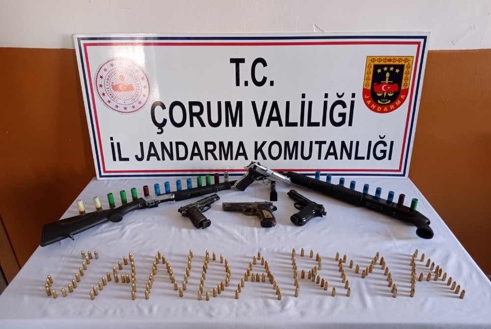 Jandarmadan ruhsatsız silah operasyonu
