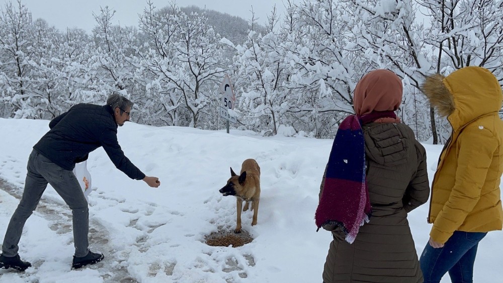 Karla kaplanan ormanda aç kalan köpeği öğretmenler besledi
