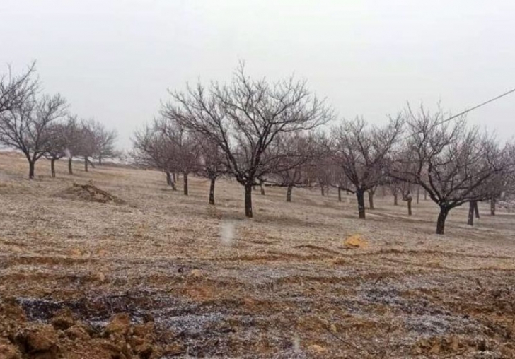 Kayısı Bahçesinde Kara Yakalandılar