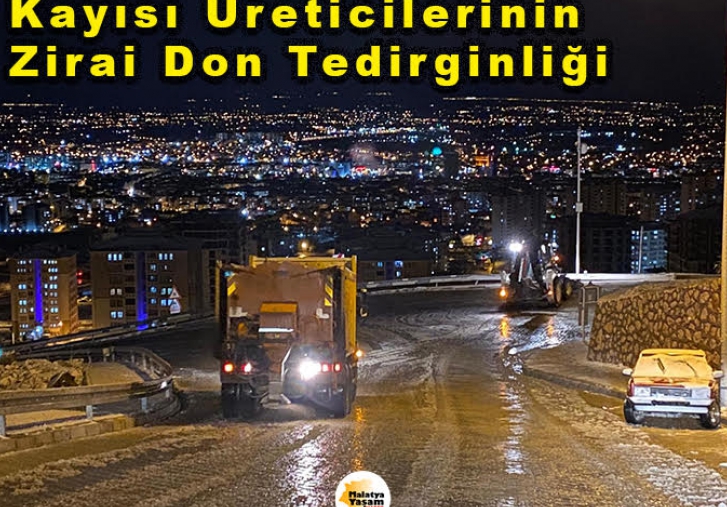 Kayısı Üreticileri Endişeli!