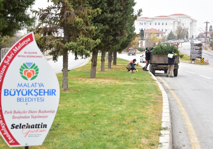 MALATYA BÜYÜKŞEHİR BELEDİYESİ PARK BAHÇELER DAİRE BAŞKANLIĞI  ÇALIŞMALARINI SÜRDÜRÜYOR