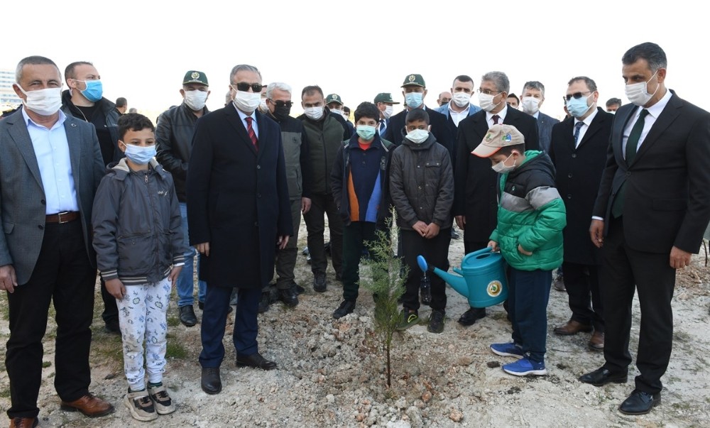 Mersin´de 200 fidan toprakla buluştu
