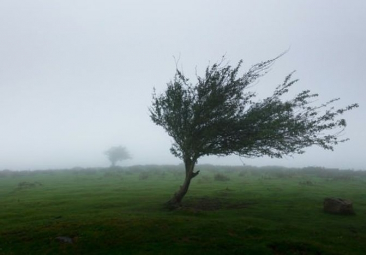 Meteorolojiden Malatyanın Bazı İlçeleri İçin Fırtına Uyarısı