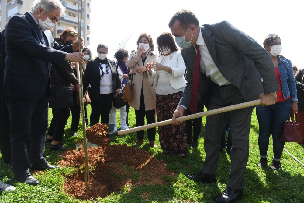 Mimozalar Yenişehir´de toprakla buluştu
