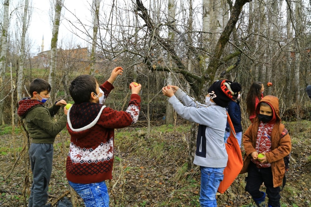 Minik öğrencilerin elmaları kuşlara hayat oluyor
