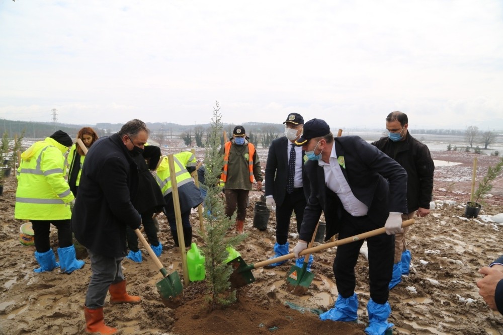 Orman Haftasında Kuzey Marmara Otoyolu´nu yeşillendirdiler
