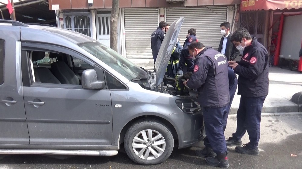 (ÖZEL) Aracının motorunda yavrulayan kedi için seferber oldu
