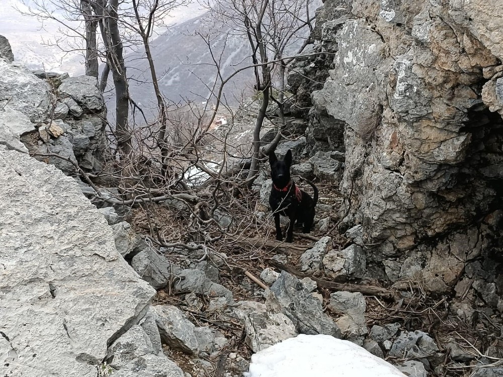 PKK´lı teröristlere ait 2 el yapımı patlayıcı jandarma ekiplerince imha edildi
