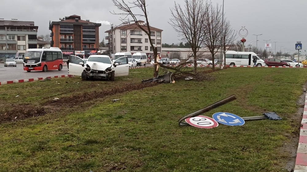 Refüje çıkan otomobil ağaçları parçalayarak durabildi
