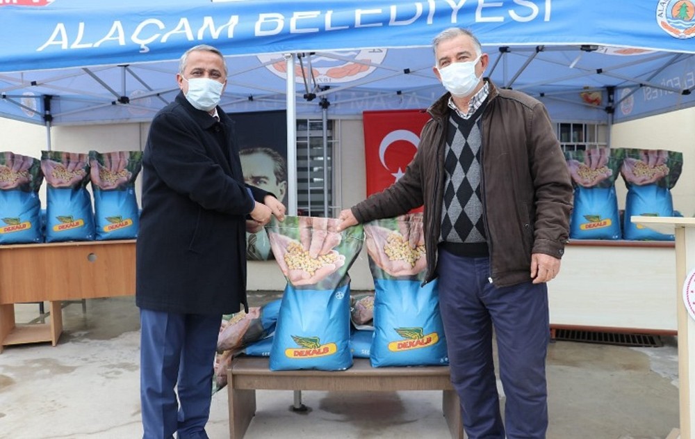 Samsun´da çiftçilere 12 bin kilogram silajlık mısır tohumu hibesi
