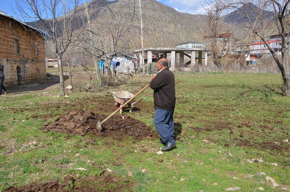 Şırnak´ta ahırdan tarlaya organik gübre mesaisi başladı
