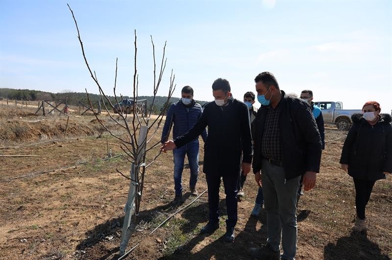 Tozman yaylalarının çehresi değişecek
