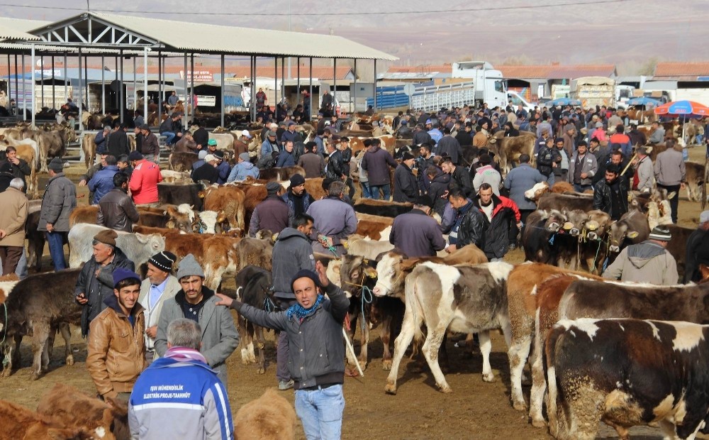 Türkiye´nin en büyüğü, kapatıldı
