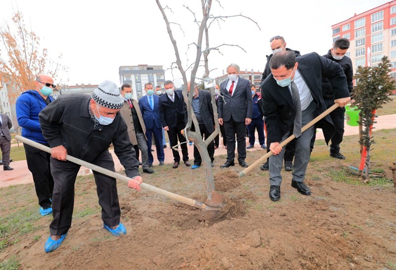 Vali Masatlı, huzurevi sakinleriyle fidan dikti
